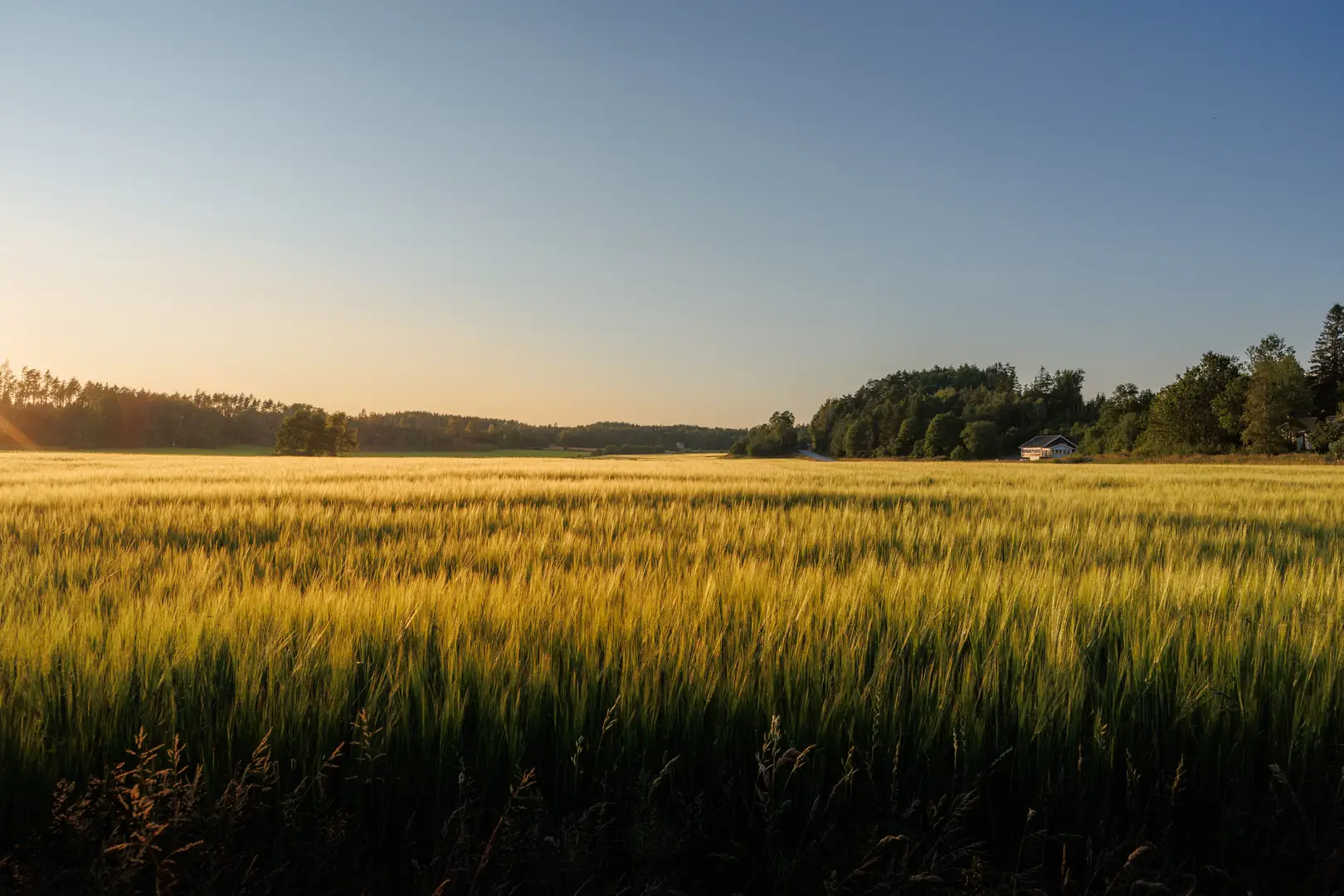 Vi sanerar radon i Nässjö